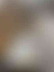 The Ahmadi Religion of Peace and Light in Canada