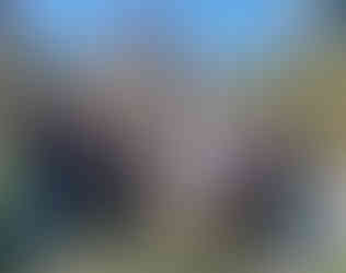 Believers protest outside Egyptian Embassy in Serbia