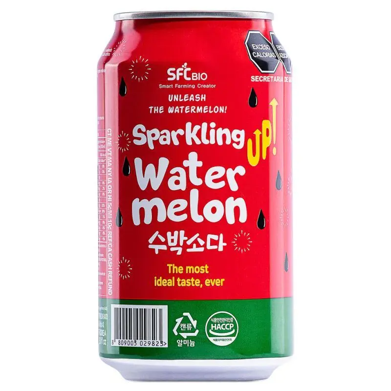 Soda pasteque Bio