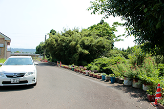 北東崖上より_土地付き太陽光発電_宮崎