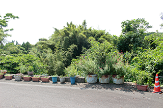 南東より_土地付き太陽光発電_宮崎