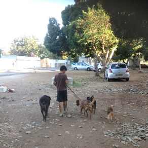  כל מה שילד צריך זה מבוגר שיאמין בו