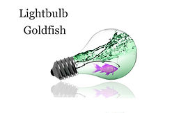 christy-lightbulb_edited.jpg