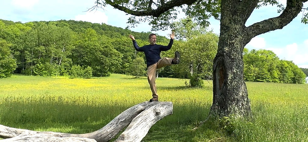 Integral Qigong/Tai Ch (4-Week Beginner Series)