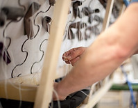 James and Rose Misc (373).jpg