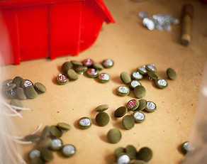 James and Rose Misc (356).jpg