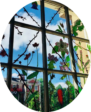 imageedit_96_3101705309.gif