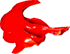 imageedit_9_8966406371.gif