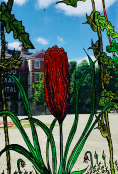 imageedit_98_8980154894.gif
