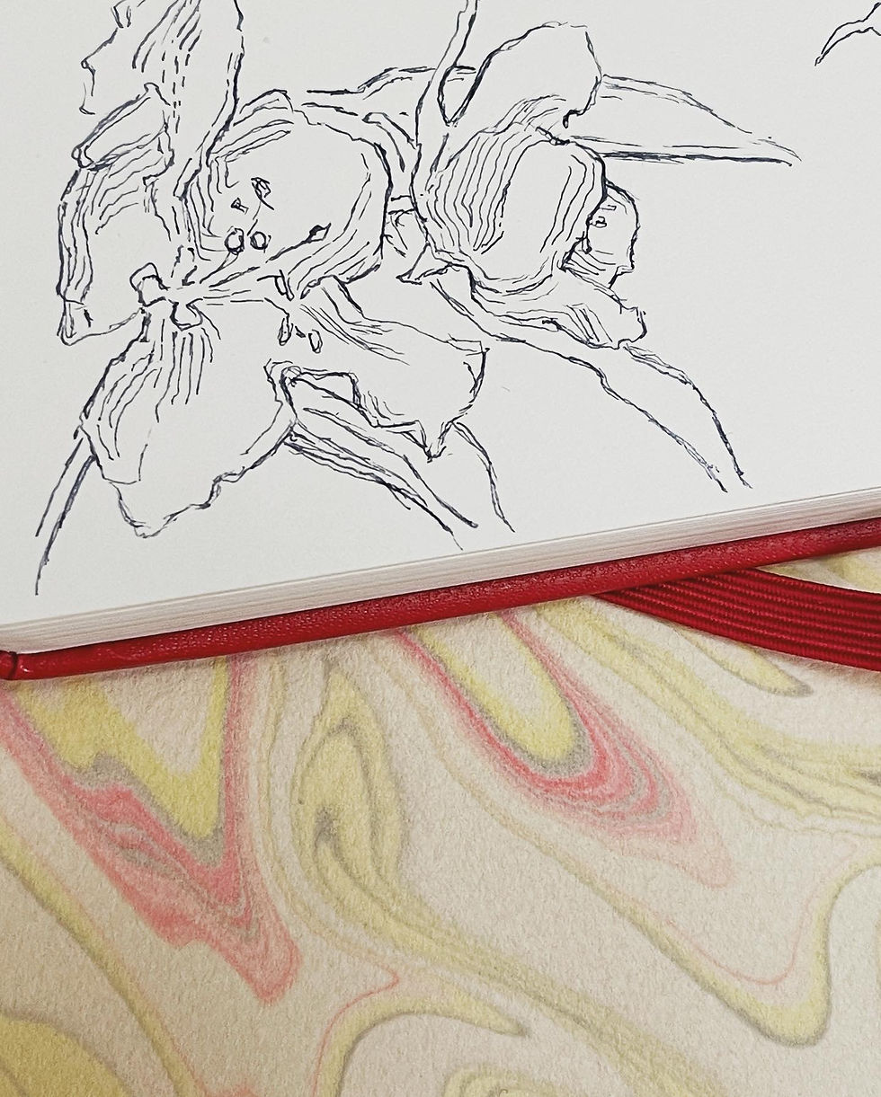 Thumbnail: Ink Drawing Botanicals & Small Creatures! (Recording Only)