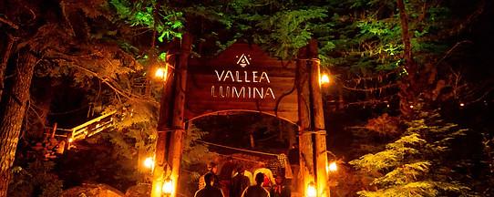 VALLEA_LUMINA_MomentFactory-9-TN.jpg