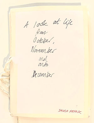 Saskia Frank.jpeg