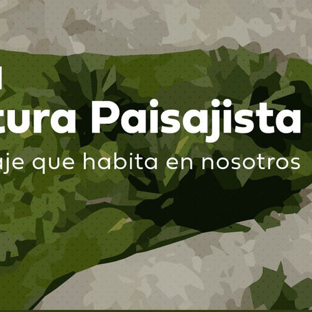 La importancia del diseño paisajista más allá de lo estético y bonito