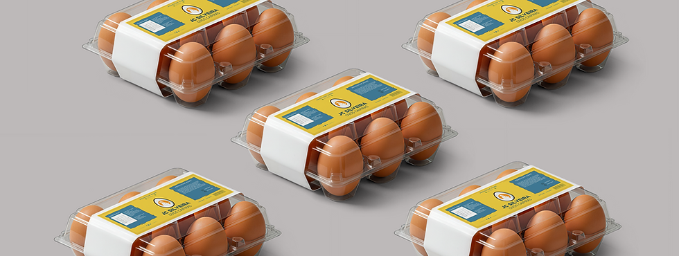 eggs.png