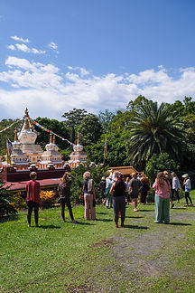 6F97DF12-983C-41EA-BEDC-E942E252F903-16745-000025E62950956E 3.JPG