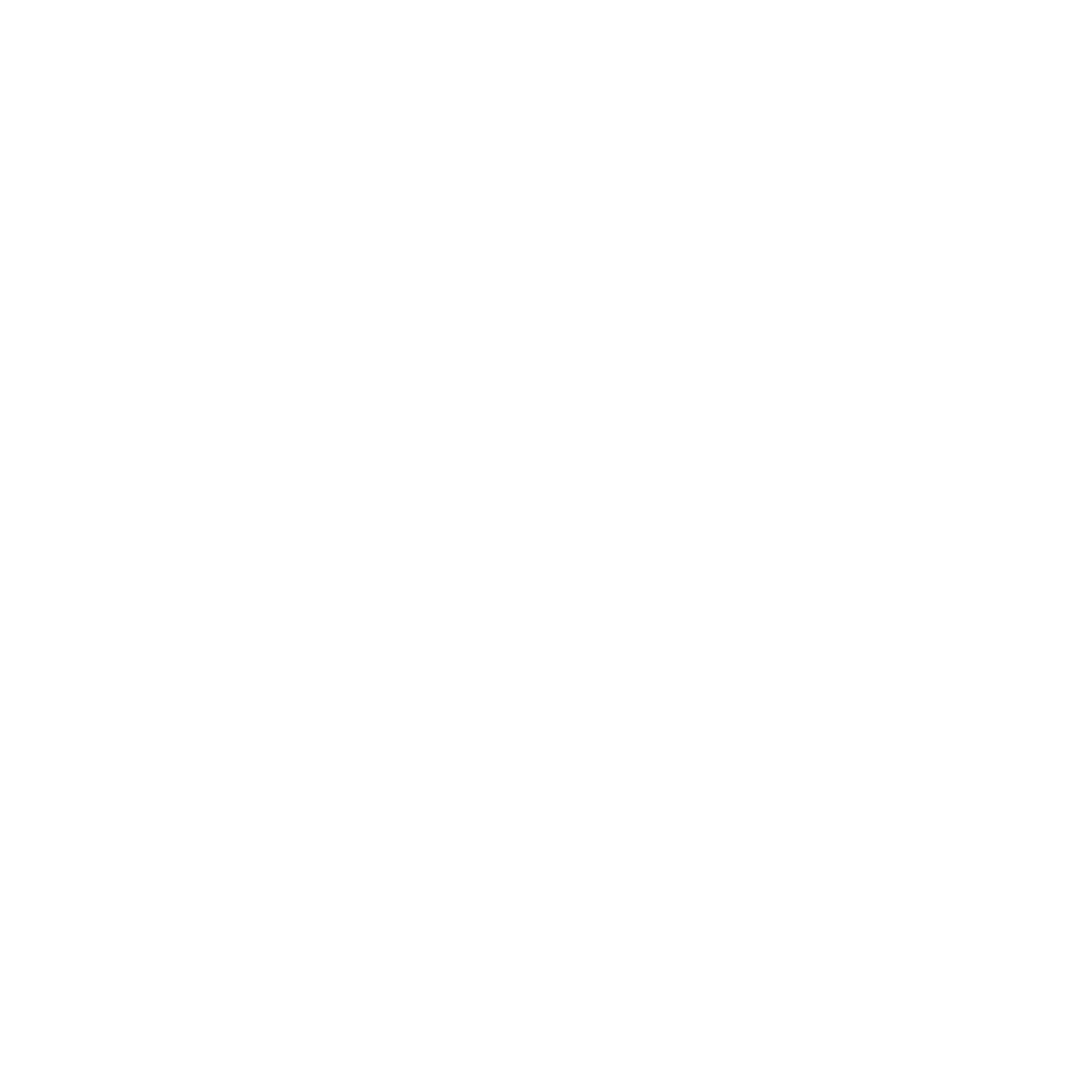 Goa Sunsplash Logo White.png