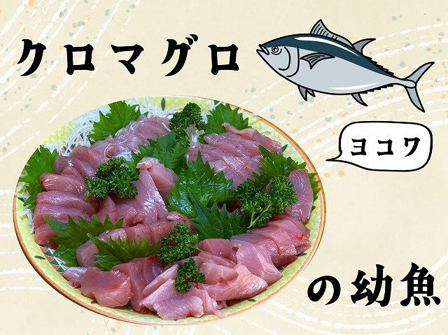 伊勢市・複合機をご購入いただきました！