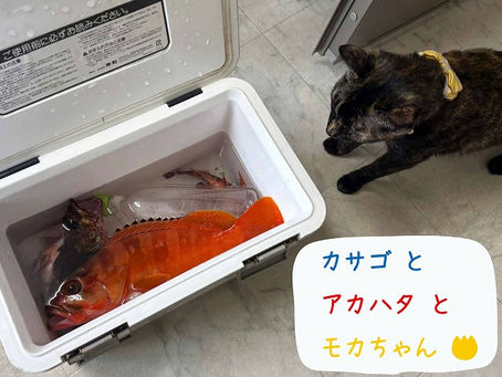 熊野市・複合機をレンタル！
