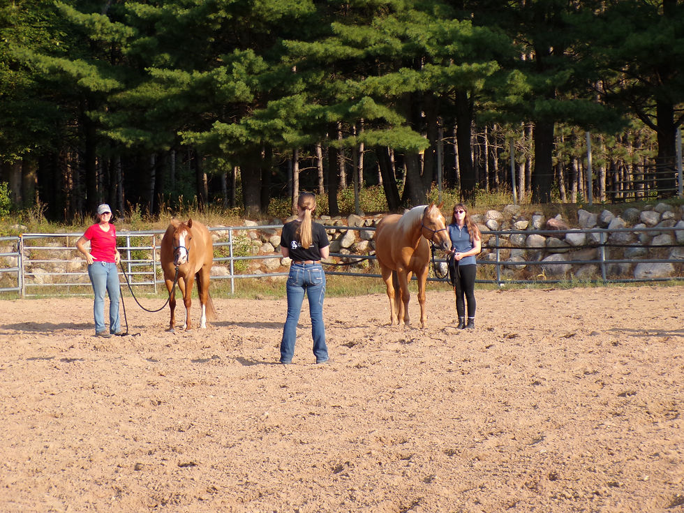 Obstacle and Trail Riding Clinic