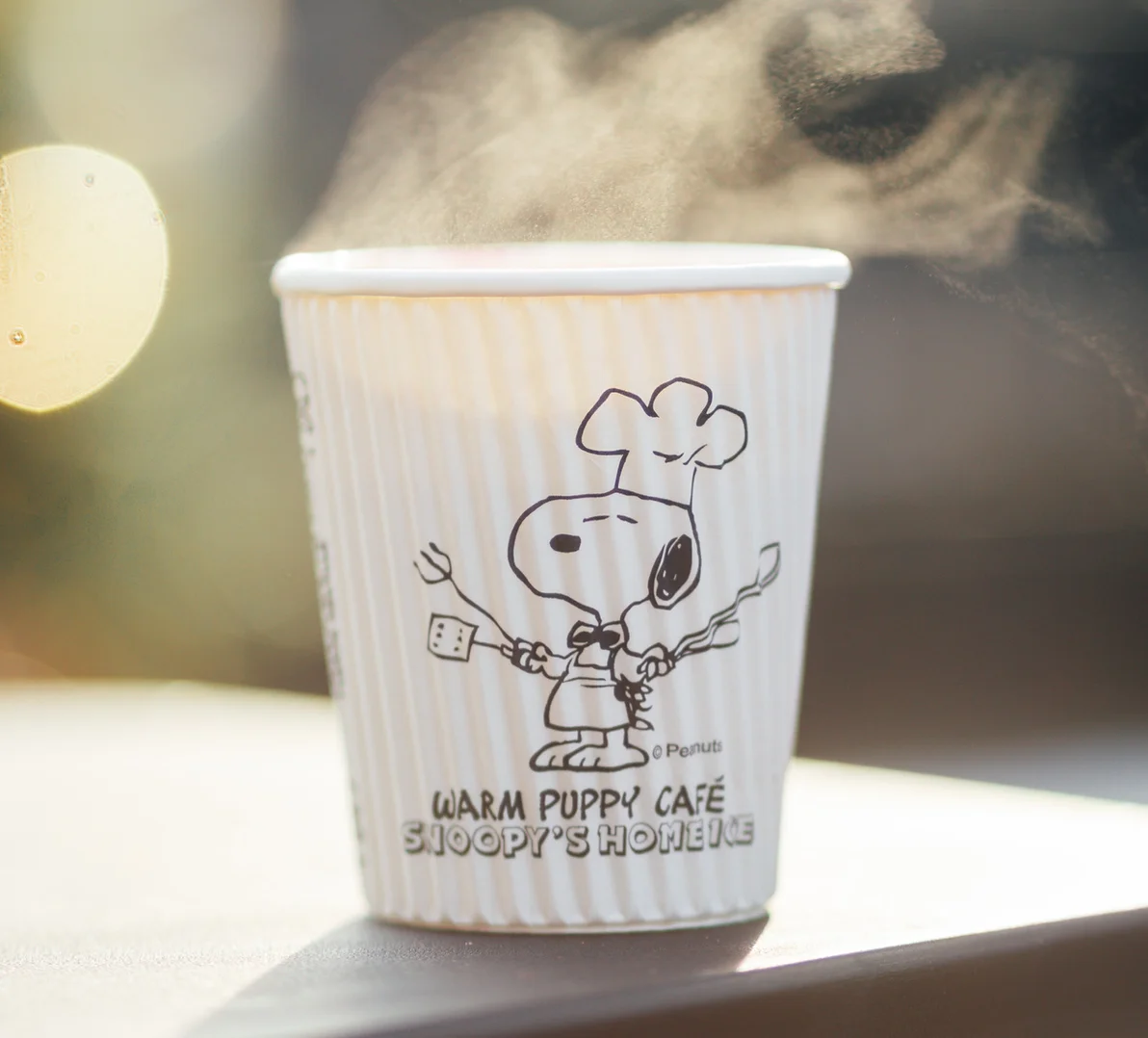 summer-at-snoopy-s-snoopy-s-home-ice