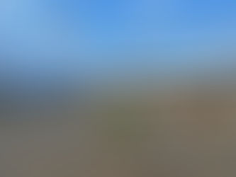 広島ドリームプロジェクト