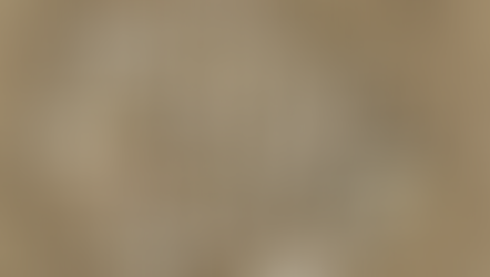 Strand, Sonne, Seehund