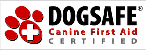 Dogsafe logo_4x-8.png