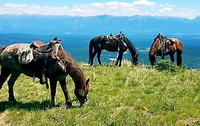 Having Fun in Kimberley BC