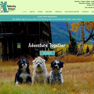 Website Design