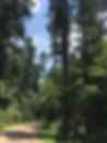 IMG_4024.jpeg