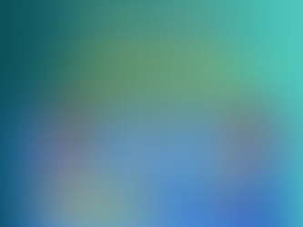 Mishu Plast Industries – Shaping the Future of E-Rickshaw Accessories