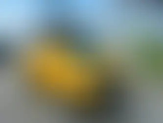 So sánh các mẫu xe tải thùng bạt 1 tấn hàng đầu hiện nay về khả năng chở hàng, động cơ, tính năng an toàn, trang bị nội thất và mức giá niêm yết mới nhất.