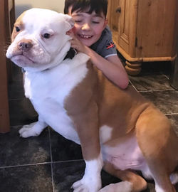 18402098_10155421115243783_5395333019338755683_o