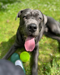 unnamed-4 copy 2.jpg