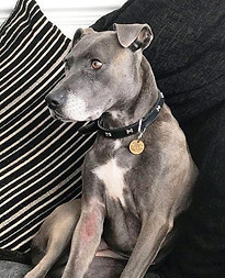 7e6f80_c2e4eddf3ae84c4eb4daf838ed1d342d~