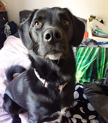 7e6f80_45ca9dcb4a35434a99d1925b2a796688~