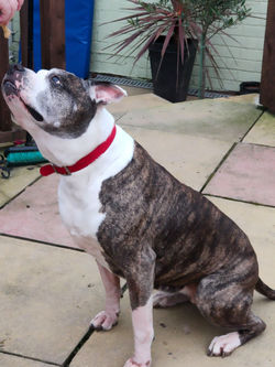 150967019_427909021657962_58017631307725