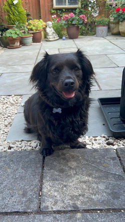 WhatsApp Image 2026-04-20 at 17.08.01 (2)