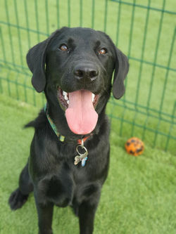 188274209_1394523240914811_5041691740576