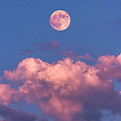 Bloody Moon_edited.jpg