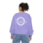 Thumbnail: SSTI Junior Crewneck Sweatshirt
