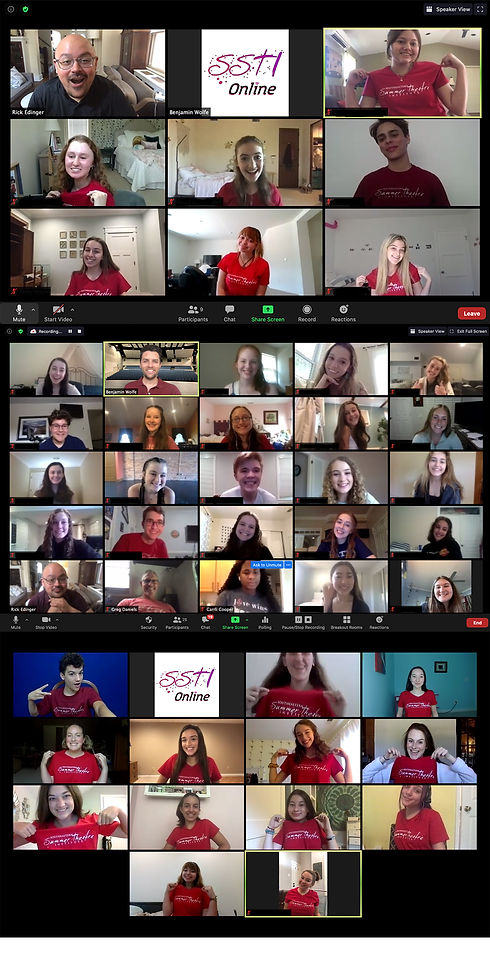 SSTI Website Zoom Banner.jpg