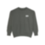 Thumbnail: SSTI Junior Crewneck Sweatshirt