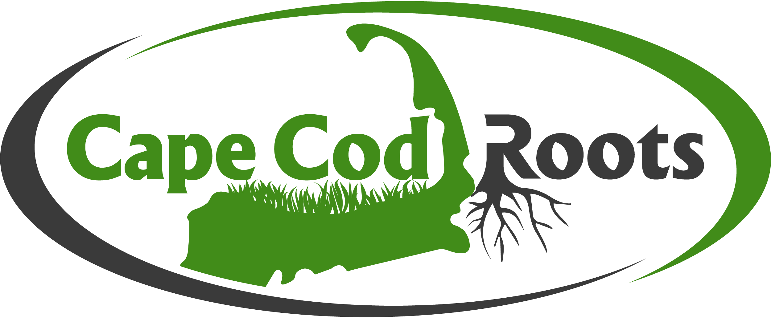 cape-cod-roots1.gif