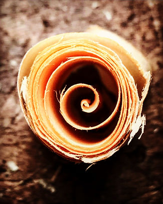 Giancarlo Arcieri Luthier Violin Wood Shaving Curl 01