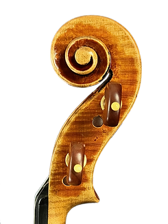 2023 Giancarlo Arcieri G Model Violin Scroll 02- Website Photo.png