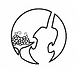 arcieri violins logo