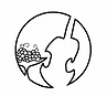arcieri violins logo
