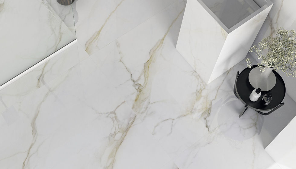 CALACATTA LUX MATTE 24X48