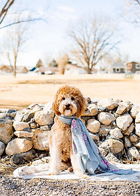 489730981_1646869152637650_7608003518774158898_n (1).jpg